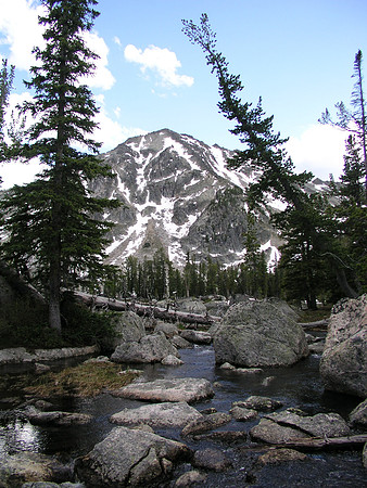 Montana '08