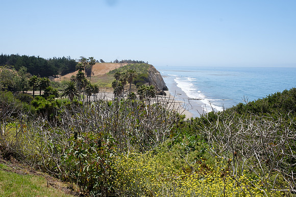 The Bluff