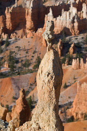 Bryce National Park