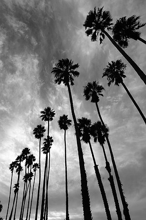 untitled-10