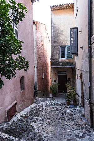 Biot