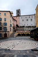 Grasse-10
