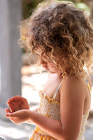 Aix Knocker-17