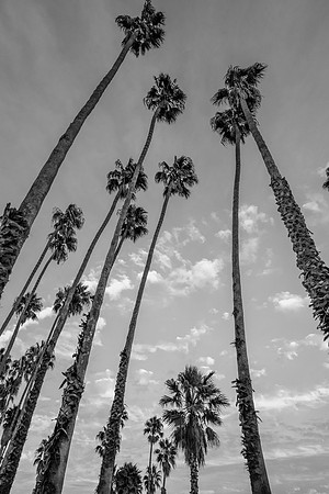 untitled-59-2