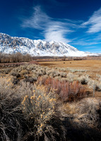 Owens Valley-8