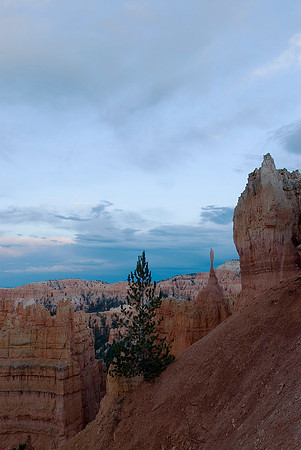 Bryce National Park