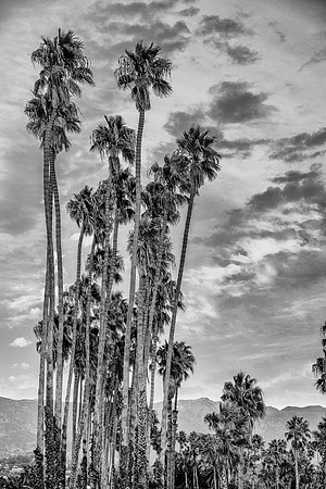 untitled-44-Edit
