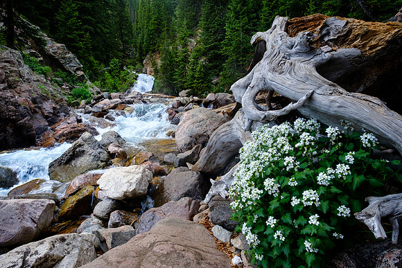 Booth Falls Hike