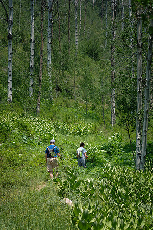 Minturn Mile after Mile after Mile...
