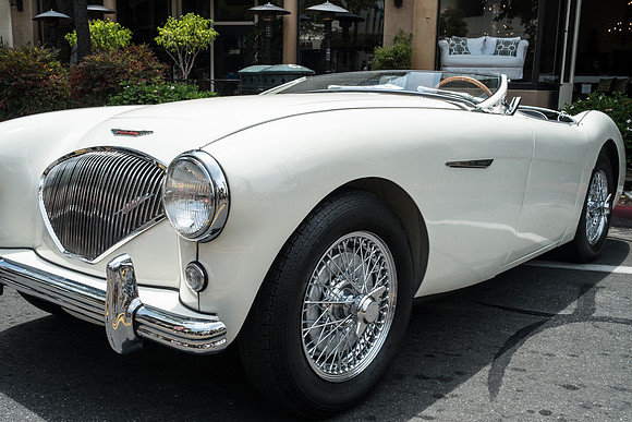 Austin Healey 100