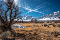 Owens Valley-9