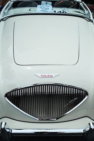 Austin Healey 100