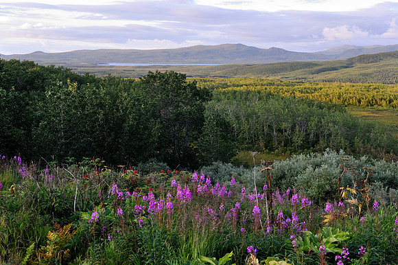 View of Mother Goose Lake