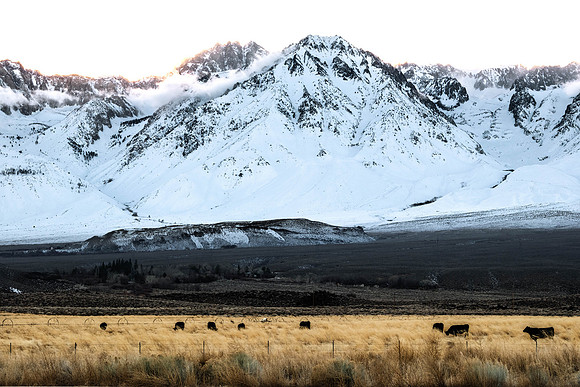 Owens Valley-3