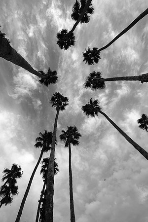 untitled-14