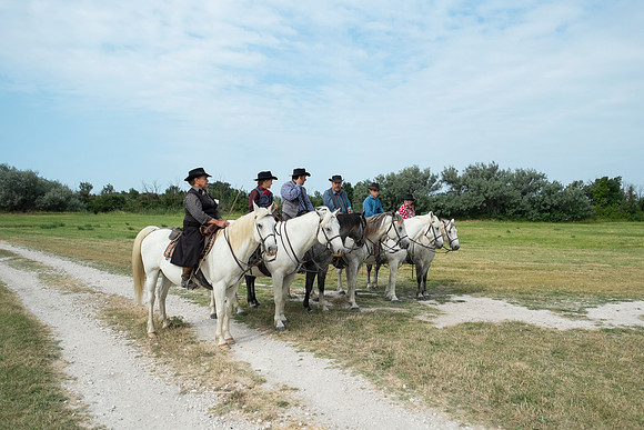 Camargue/Gallician