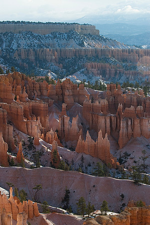 Bryce National Park