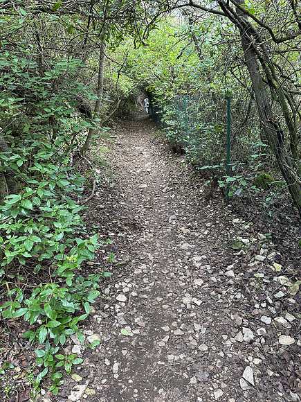Chemin de Bibemus