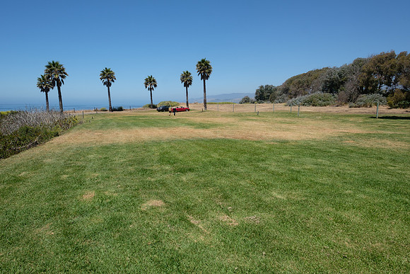 The Bluff