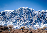 Owens Valley-6