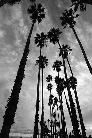 untitled-12