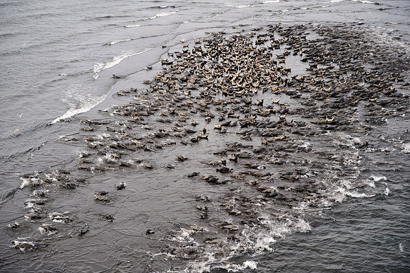 Seals