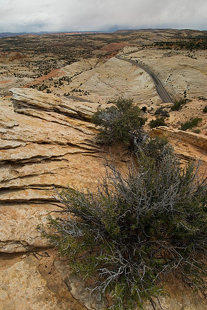 Bryce National Park