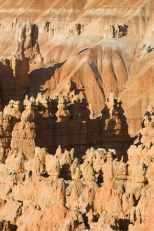 Bryce National Park