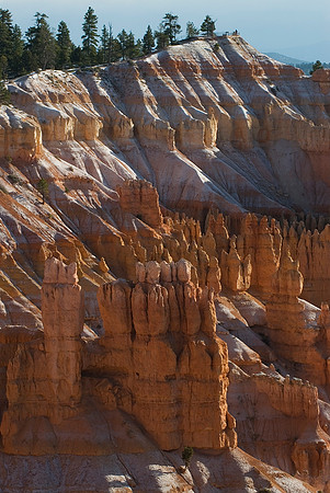 Bryce National Park