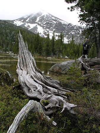 Montana '08