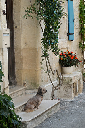Vallabregues