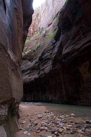 Zion National Park