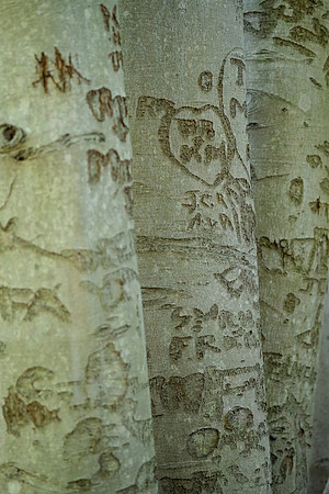 Blydenberg Park, LI