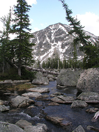 Montana '08