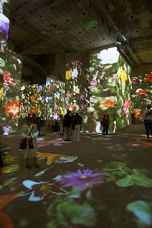 Carrieres de Lumieres, Les Baux