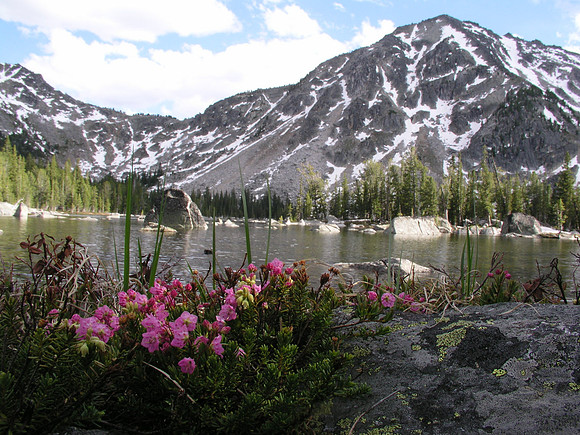 Montana '08