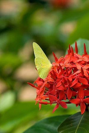 Nagoya Penninsula, Costa Rica