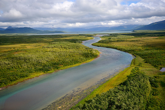 King Salmon River