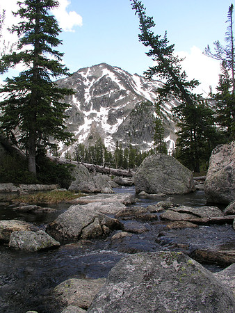 Montana '08