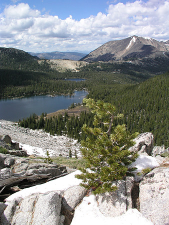 Montana '08