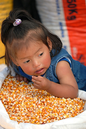 Otavalo Market, Equador