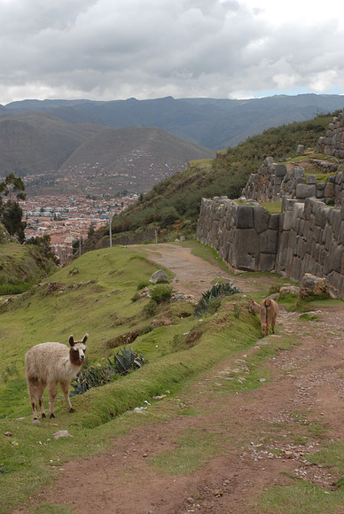 Sacsayhuaman Ruins, Sacred Valley, Peru