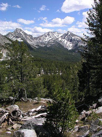 Montana '08