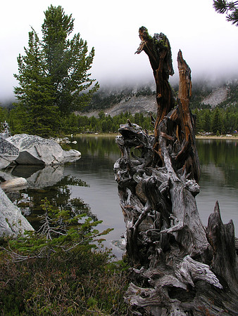 Montana '08