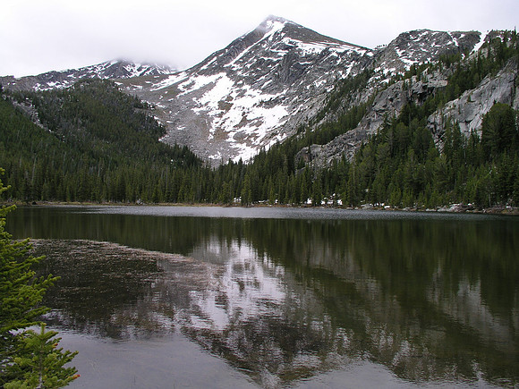Montana '08