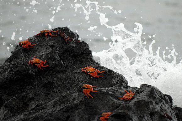 Galapagos, Day 2