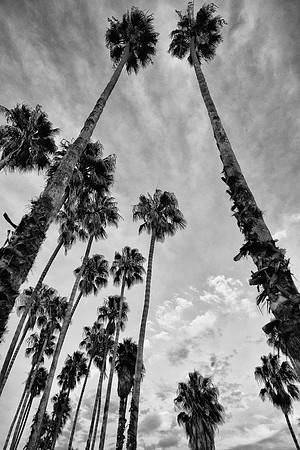 untitled-66-Edit