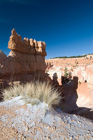 Bryce National Park