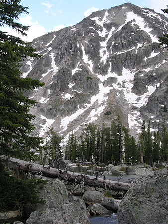 Montana '08