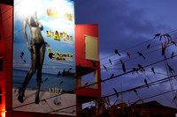 Jaco Streets and Beaches